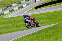 cadwell-no-limits-trackday;cadwell-park;cadwell-park-photographs;cadwell-trackday-photographs;enduro-digital-images;event-digital-images;eventdigitalimages;no-limits-trackdays;peter-wileman-photography;racing-digital-images;trackday-digital-images;trackday-photos